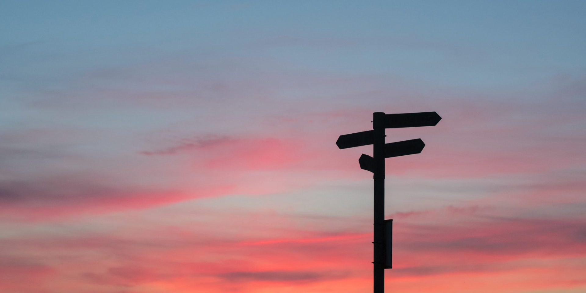 8 of the best alternatives to Docebo